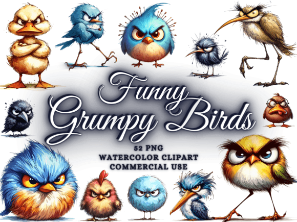 Download Funny Grumpy Bird Clipart Funny Bird Png - Bird clipart Collection