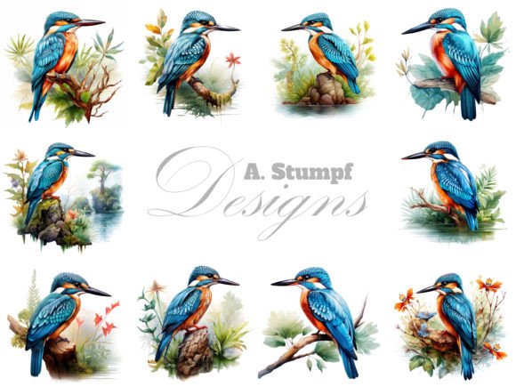 Download Kingfisher Watercolor Bird Clipart Set - Bird clipart Collection