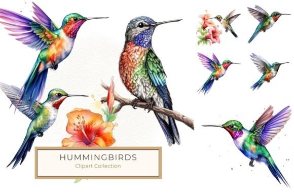 Download Vibrant Watercolor Hummingbird Clipart - Bird clipart Collection